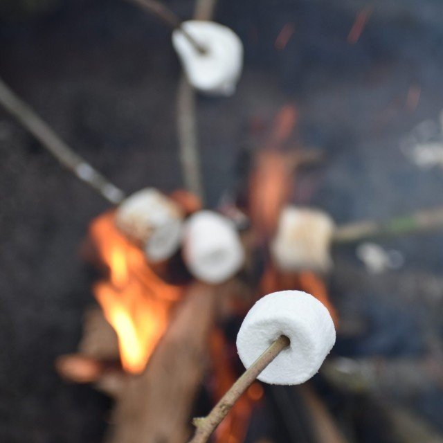 Kampvuur met marshmallows