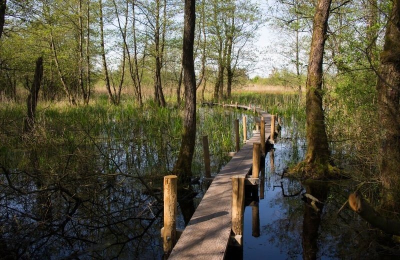 Petgatenpad cobie meinema het groninger landschap