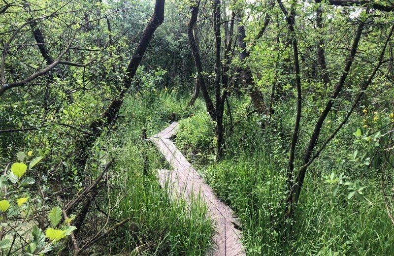 Petgatenpad petra van der meer het groninger landschap